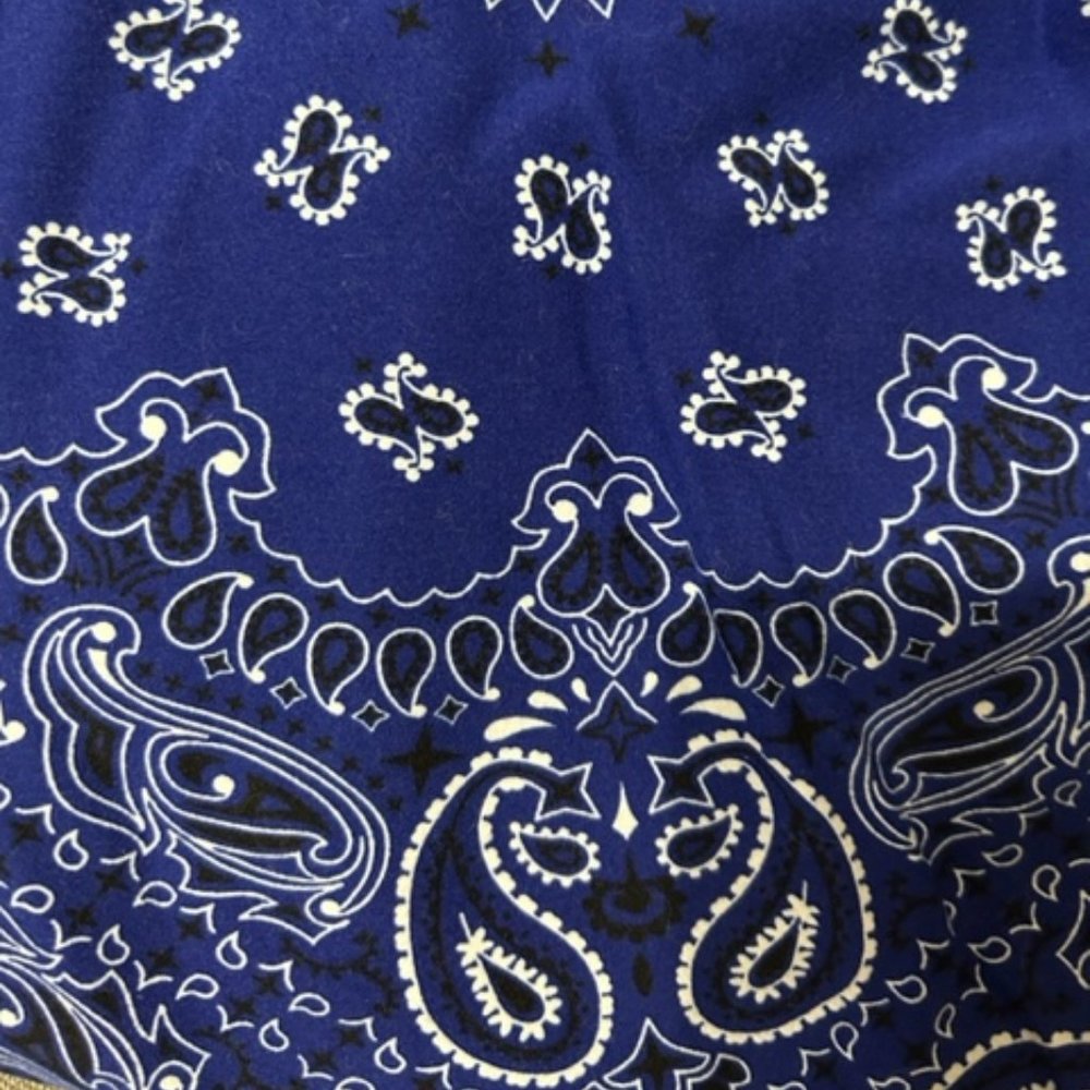 LuLaroe TC 12-18 Legging blue bandana
